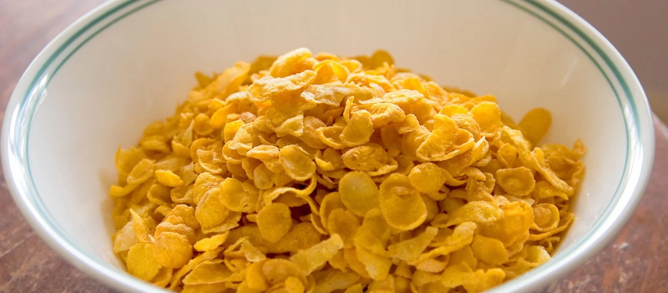 Η ιστορία των κορν φλέικς: Πώς ένας αδικημένος αδελφός ανακάλυψε τα περίφημα Kellogg's;